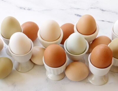 ¿Por qué los huevos son de diferentes colores?