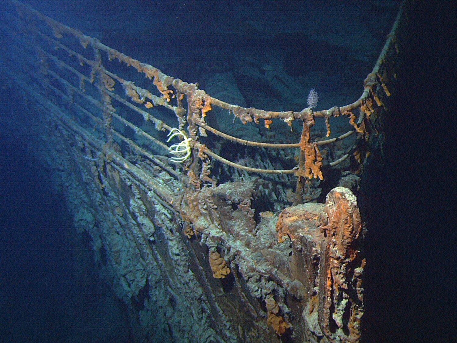 El Titanic podría desaparecer por completo en unos años: las bacterias lo están devorando