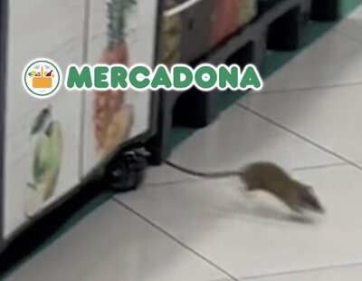 Graban a una rata gigante en mitad de un Mercadona