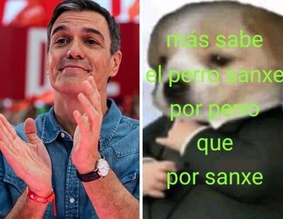 Los mejores memes y reacciones de las elecciones generales del 23J