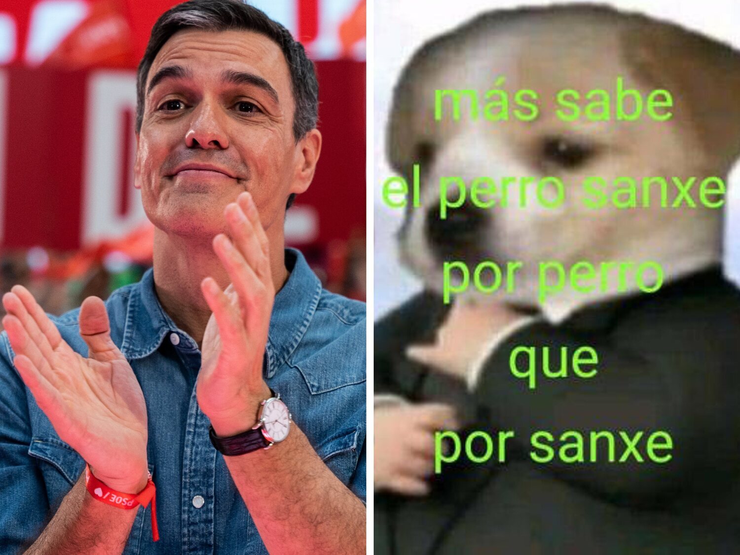 Los mejores memes y reacciones de las elecciones generales del 23J