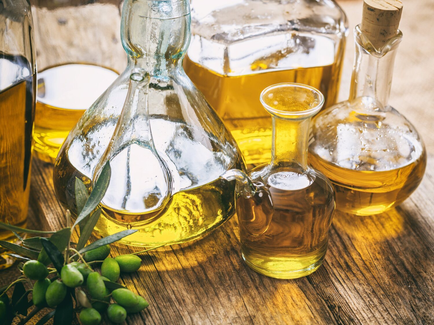 Agricultores avanzan el precio del aceite de oliva para 2024 y lo califican como "desorbitante"