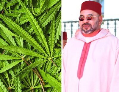 Marruecos se alía con Israel para cultivar, comercializar, exportar y organizar congresos de marihuana