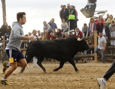 El Toro de la Vega siembra el pánico en Tordesillas: escapa y cornea gravemente a un hombre