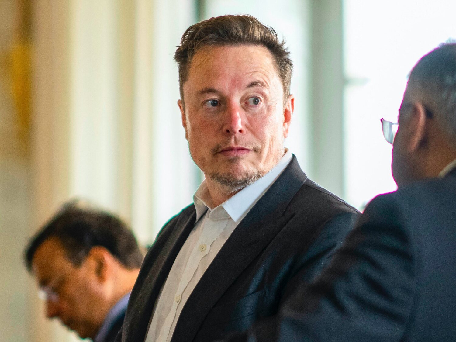 Denuncian la muerte de doce monos durante las pruebas de chips cerebrales de Elon Musk