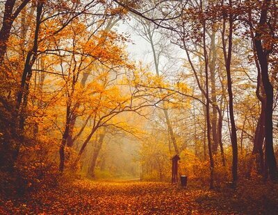 ¿Cuándo empieza el otoño en 2023? ¿Y el cambio de hora en España?