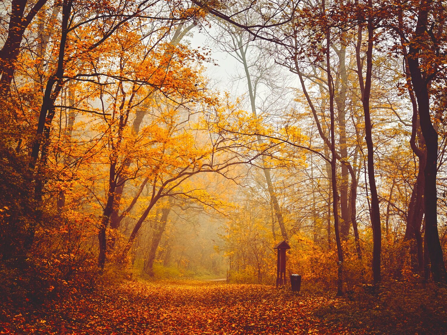 ¿Cuándo empieza el otoño en 2023? ¿Y el cambio de hora en España?