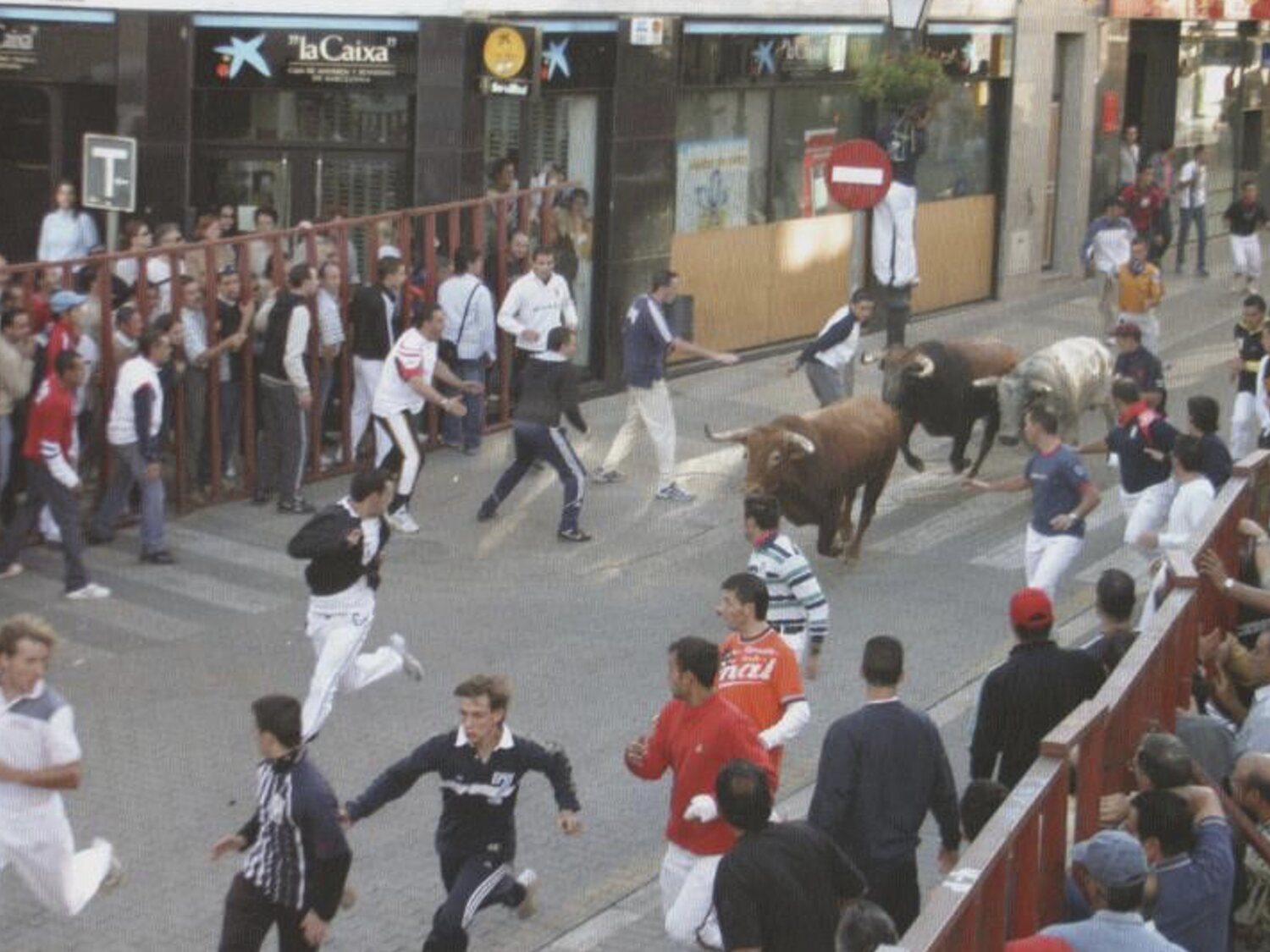 PACMA reclama la prohibición de los bous al carrer tras la muerte de un hombre en la Pobla de Farnals