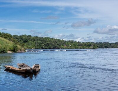 Más de un centenar de delfines muertos en la Amazonia brasileña por el cambio climático