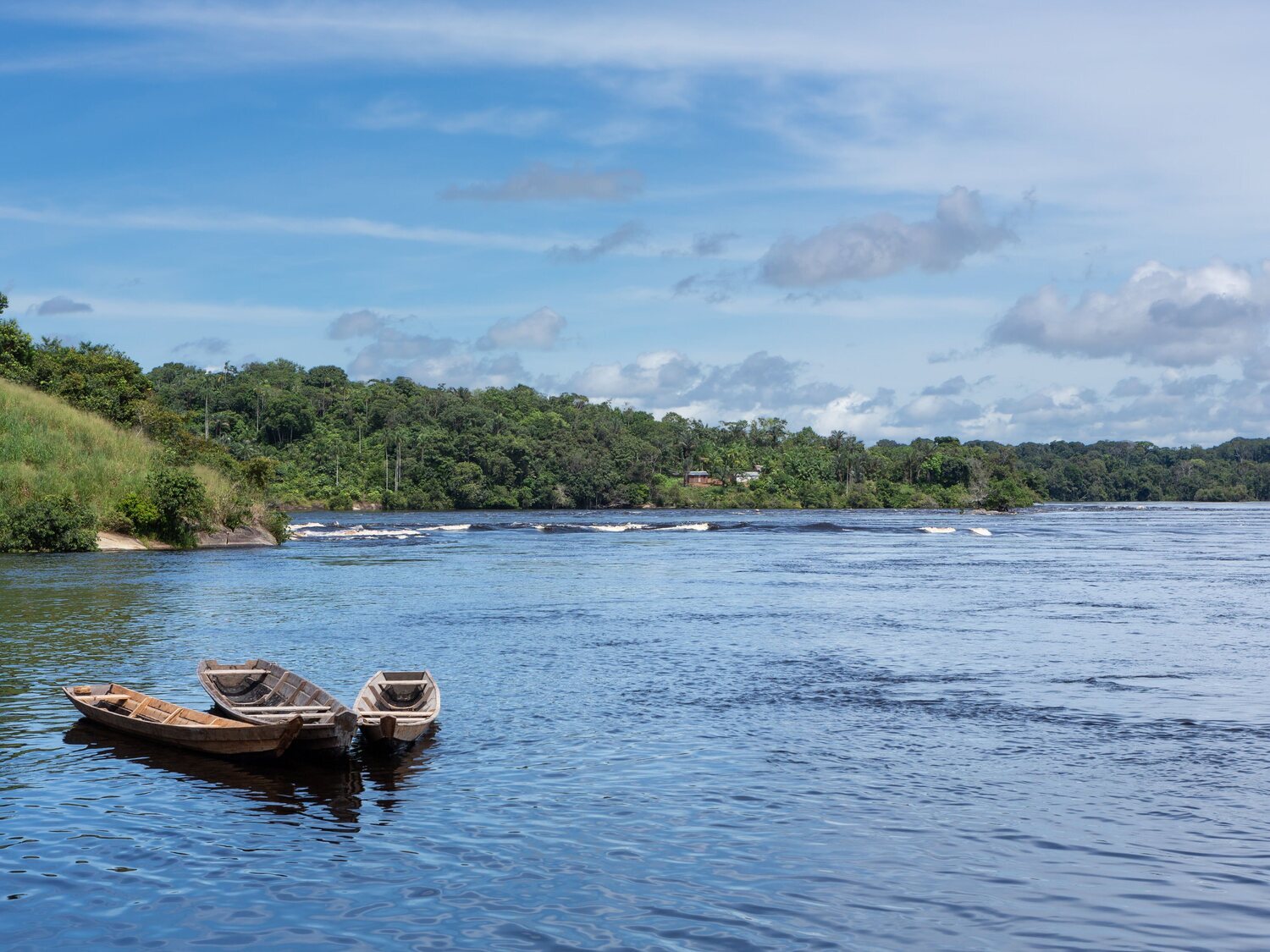 Más de un centenar de delfines muertos en la Amazonia brasileña por el cambio climático