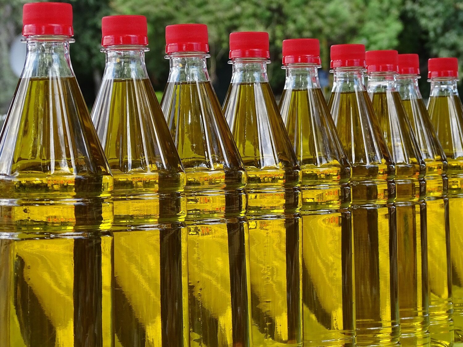 Desvelan qué supermercado vende el aceite de oliva más barato en España: su cartel sorprende