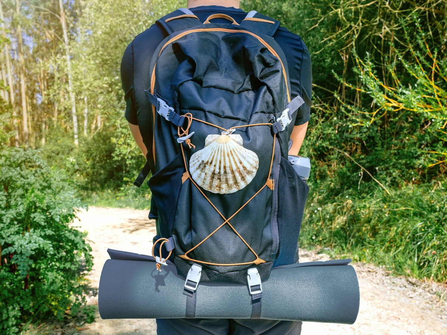 Las mochilas de los peregrinos, detrás del aumento de chinches, según hosteleros del Camino de Santiago