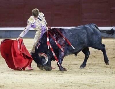 La Fundación Toro de Lidia recibe dos millones de euros de dinero público en cinco años