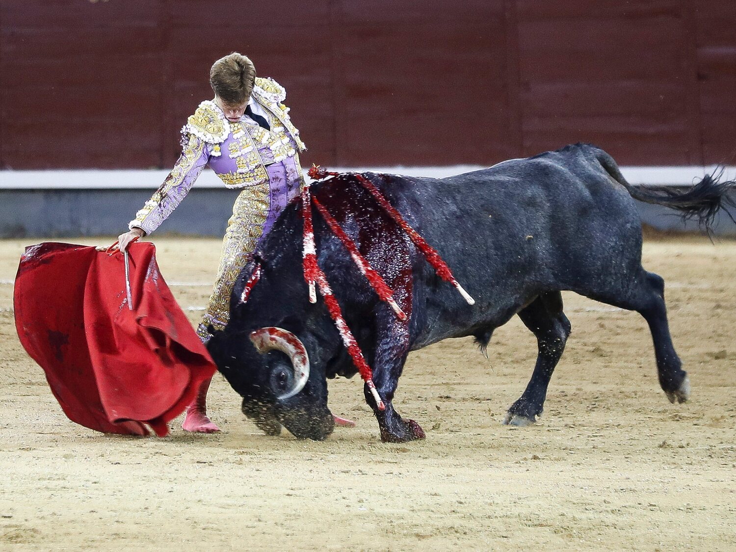 La Fundación Toro de Lidia recibe dos millones de euros de dinero público en cinco años