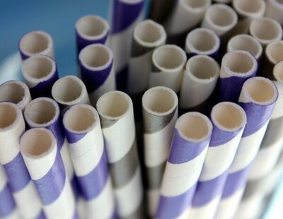 Las pajitas de papel contienen sustancias tóxicas, según un estudio
