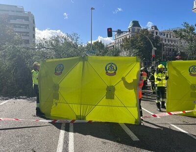 Muere una joven de 23 años al caer un árbol en el centro de Madrid