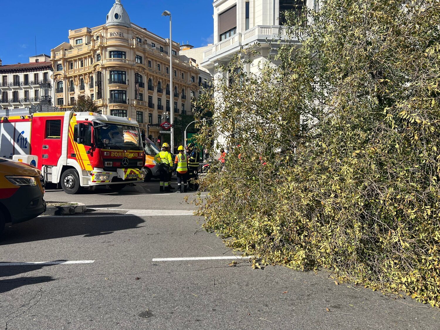 El Ayuntamiento revisó el árbol del accidente en Alonso Martínez en mayo: sano y sin defectos