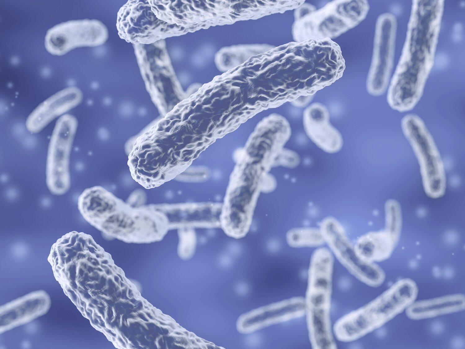 Alertan de un aumento de casos de la enfermedad neumocócica invasiva: síntomas y vías de contagio
