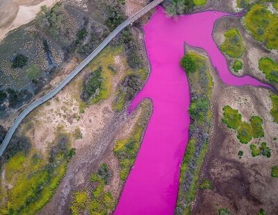 Un estanque de Hawái se tiñe de rosa y sorprende a los científicos