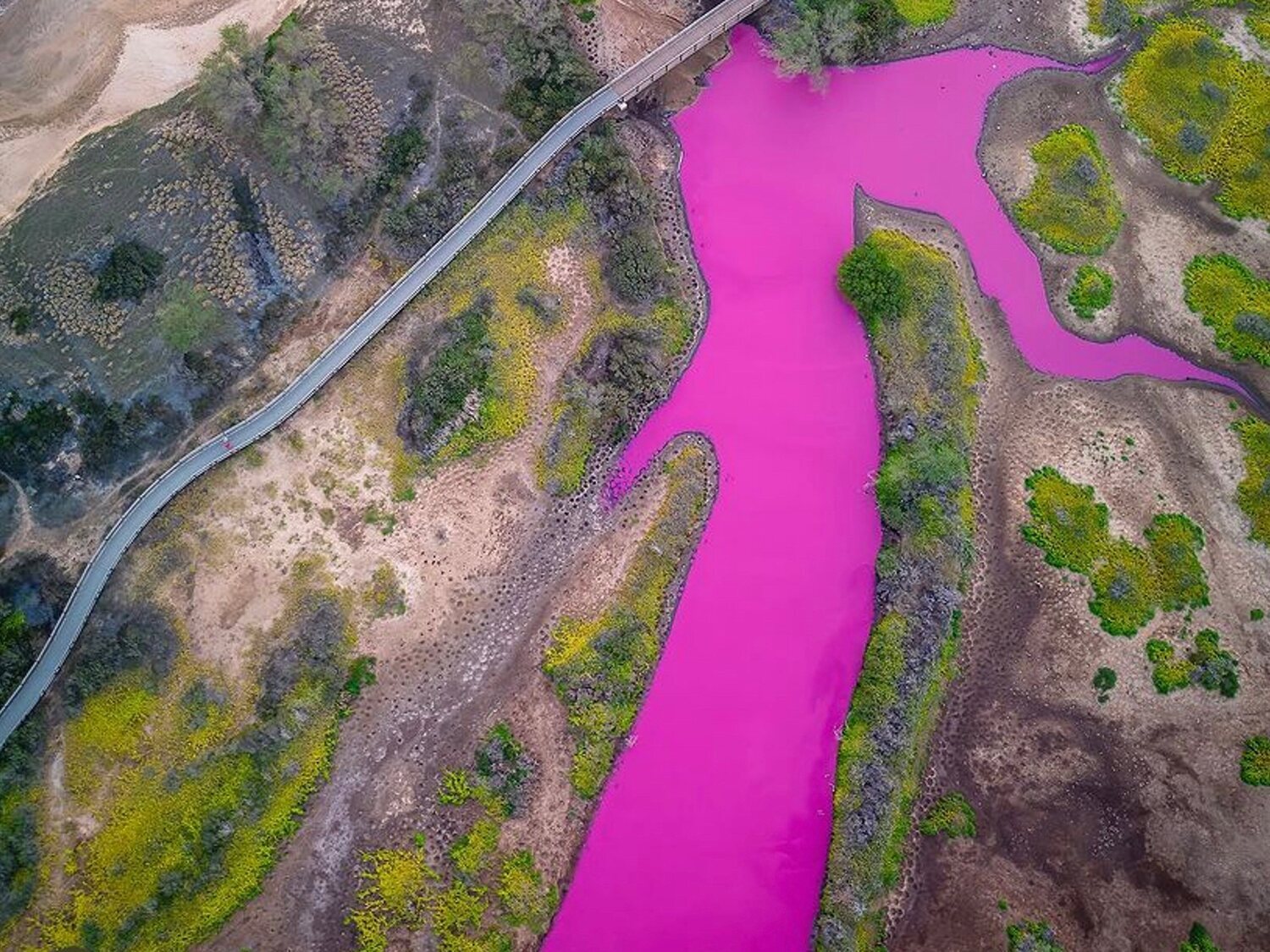 Un estanque de Hawái se tiñe de rosa y sorprende a los científicos
