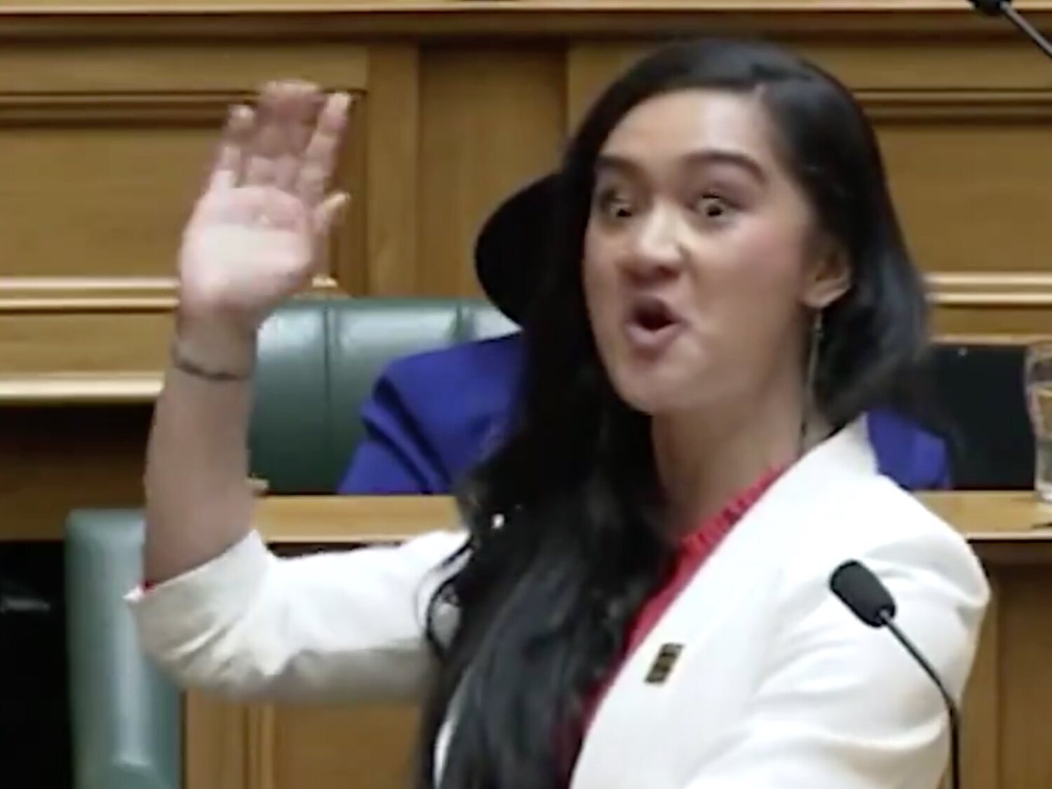 Una diputada se hace viral por un ritual en el Parlamento de Nueva Zelanda