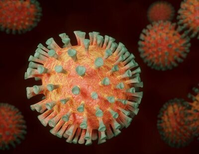 La OMS advierte sobre una posible enfermedad X, 20 veces más letal que el coronavirus