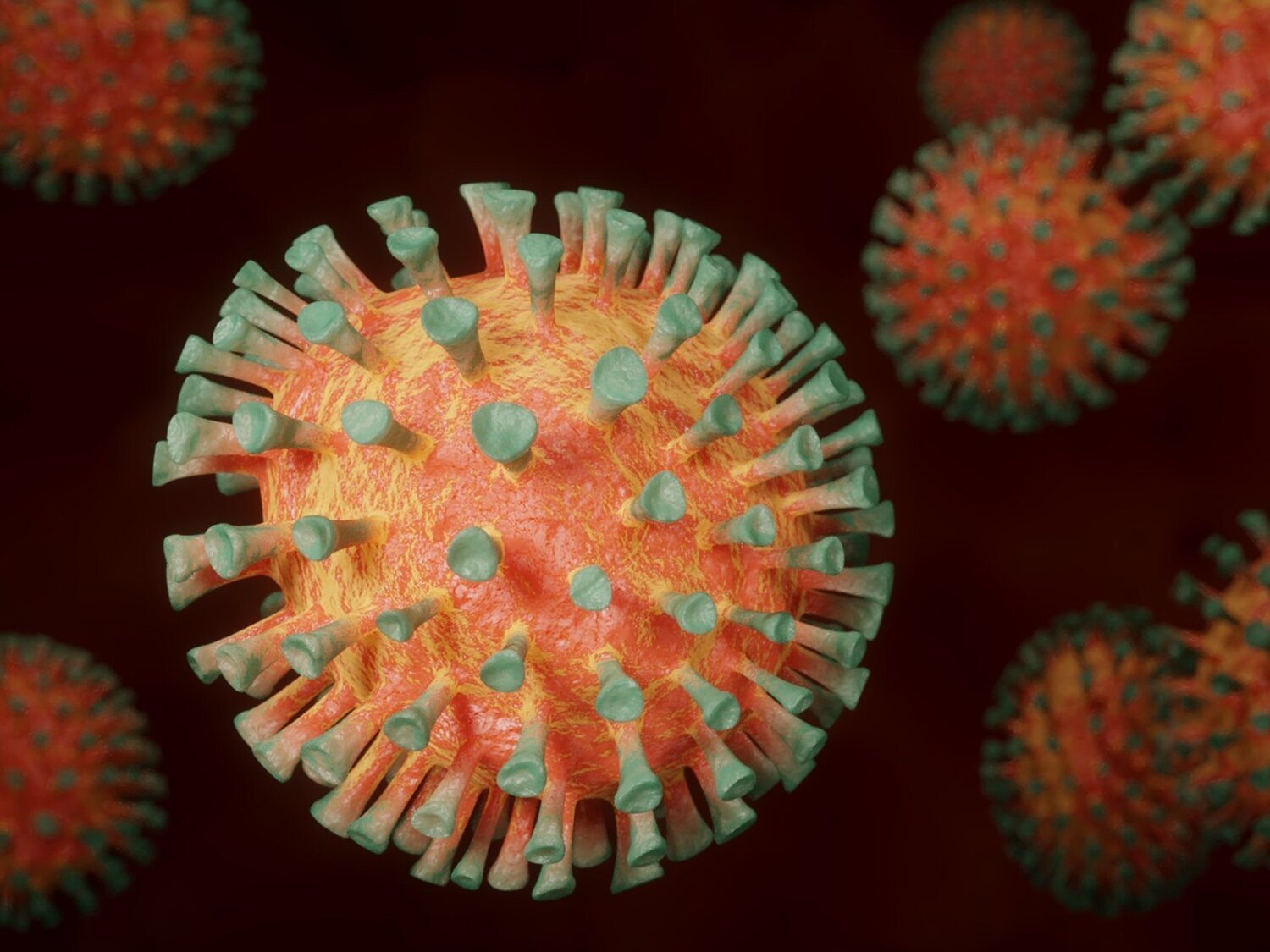 La OMS advierte sobre una posible enfermedad X, 20 veces más letal que el coronavirus