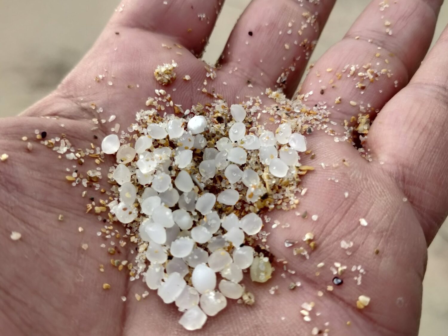 La ONU advierte del daño que pueden provocar los pellets en humanos y animales