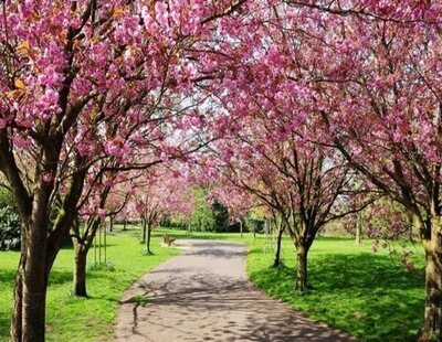 ¿Cuándo empieza la primavera en España?: Los mejores planes para preparar su llegada