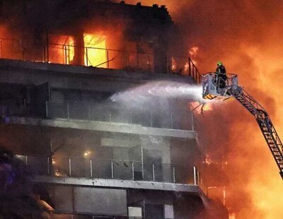 Un centenar de mascotas murieron en el incendio de los edificios Valencia: 48 perros, 36 gatos...