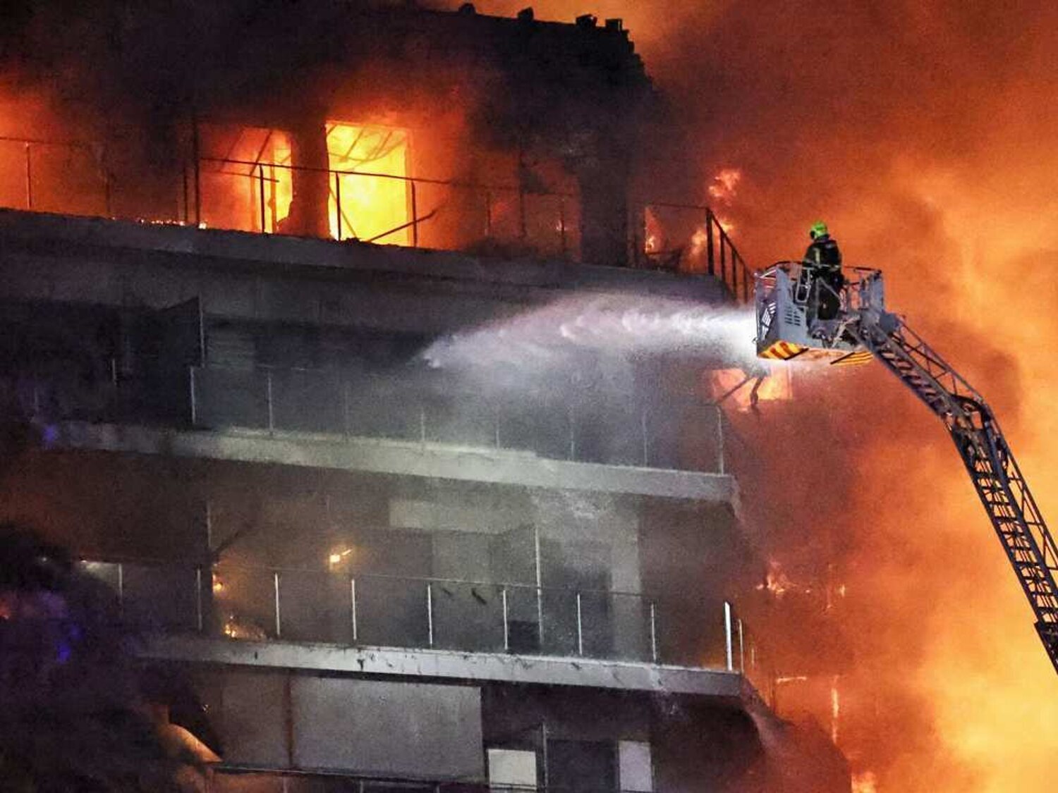Un centenar de mascotas murieron en el incendio de los edificios Valencia: 48 perros, 36 gatos...