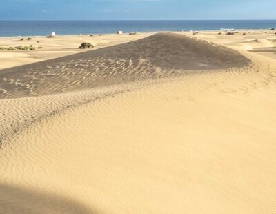 Destrozos en las dunas de Maspalomas en busca de 1.000 euros por el reto viral de unos youtubers