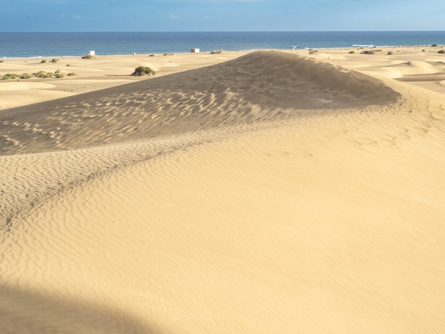 Destrozos en las dunas de Maspalomas en busca de 1.000 euros por el reto viral de unos youtubers