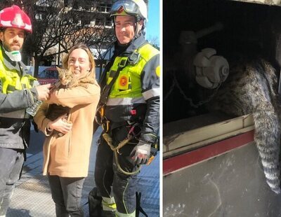 El emotivo momento en que los Bomberos rescatan vivo a un gato ocho días después del incendio de Valencia