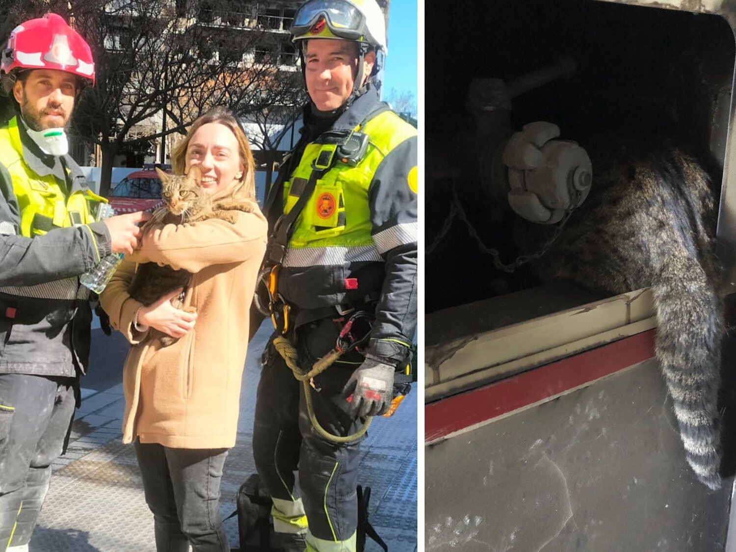 El emotivo momento en que los Bomberos rescatan vivo a un gato ocho días después del incendio de Valencia