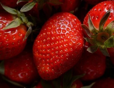 Alerta sanitaria por la presencia de hepatitis A en fresas procedentes de Marruecos