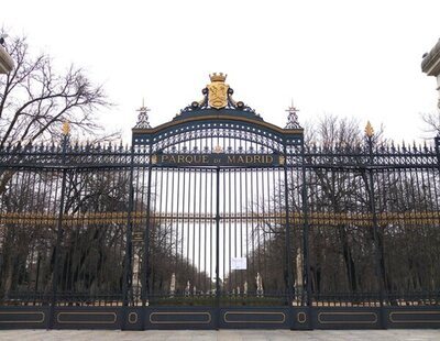 Alerta en Madrid: Cierran ocho parques por riesgo de caída de árboles por rachas de viento