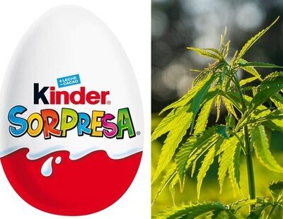 Ingresa una niña en coma tras ingerir cannabis oculto en un huevo Kinder Sorpresa