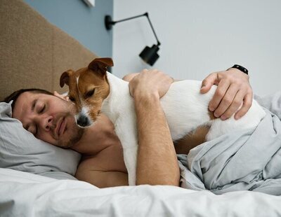 ¿Se descansa mejor durmiendo con tu pareja o con tu mascota?