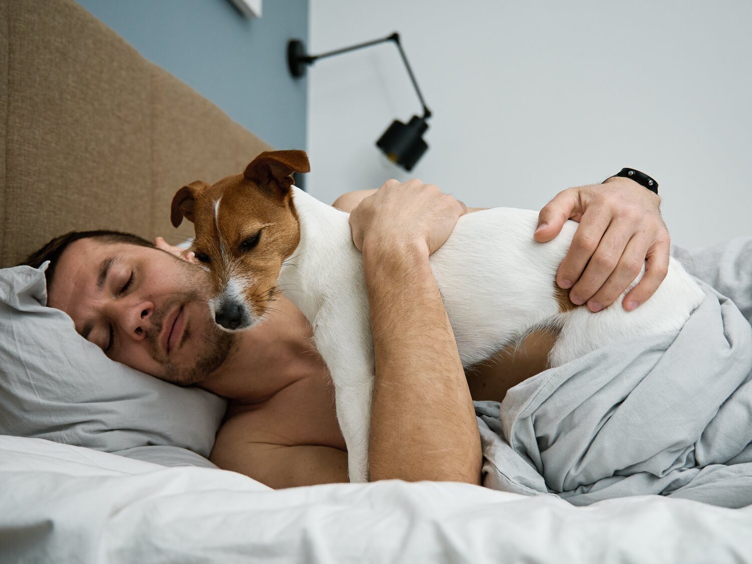 ¿Se descansa mejor durmiendo con tu pareja o con tu mascota?