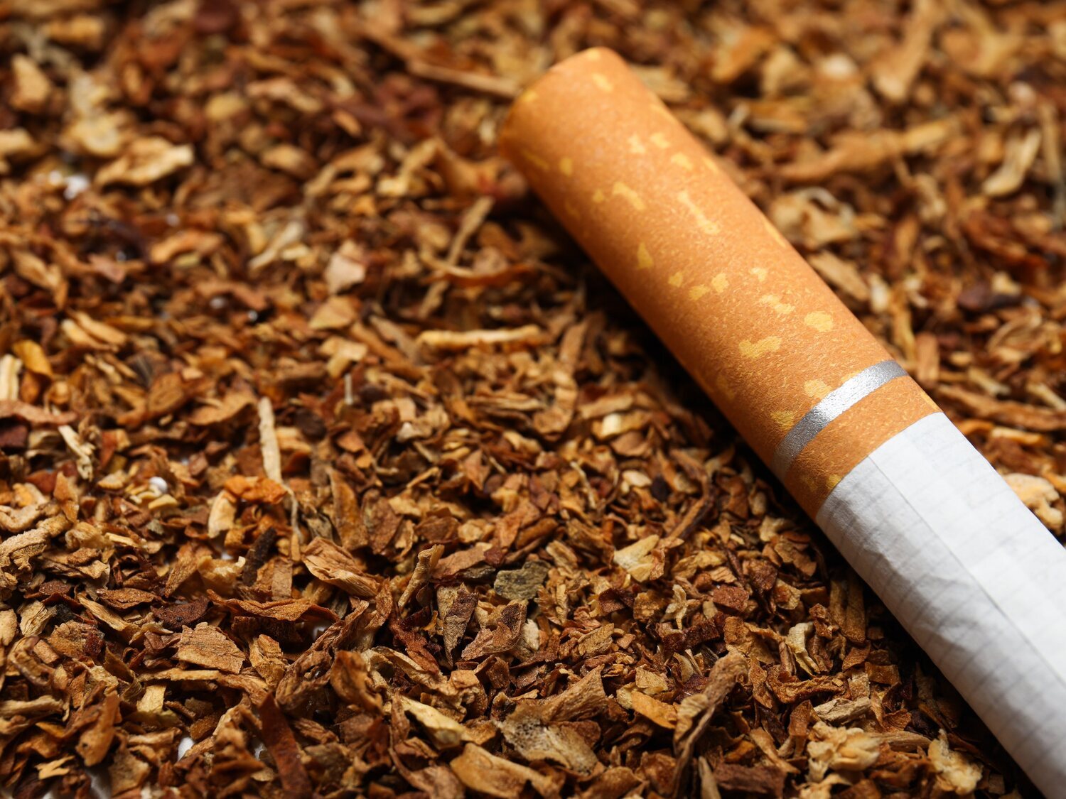 ¿Qué países prohíben la venta y consumo de tabaco?