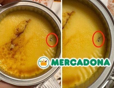 Compra un flan de proteínas en Mercadona y encuentra los restos de un insecto incrustados en su interior