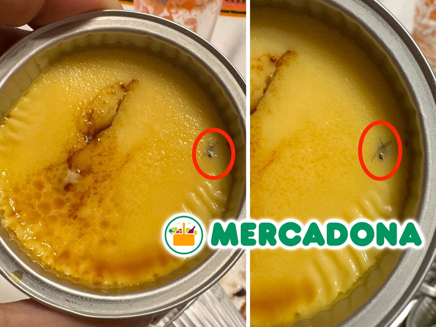 Compra un flan de proteínas en Mercadona y encuentra los restos de un insecto incrustados en su interior