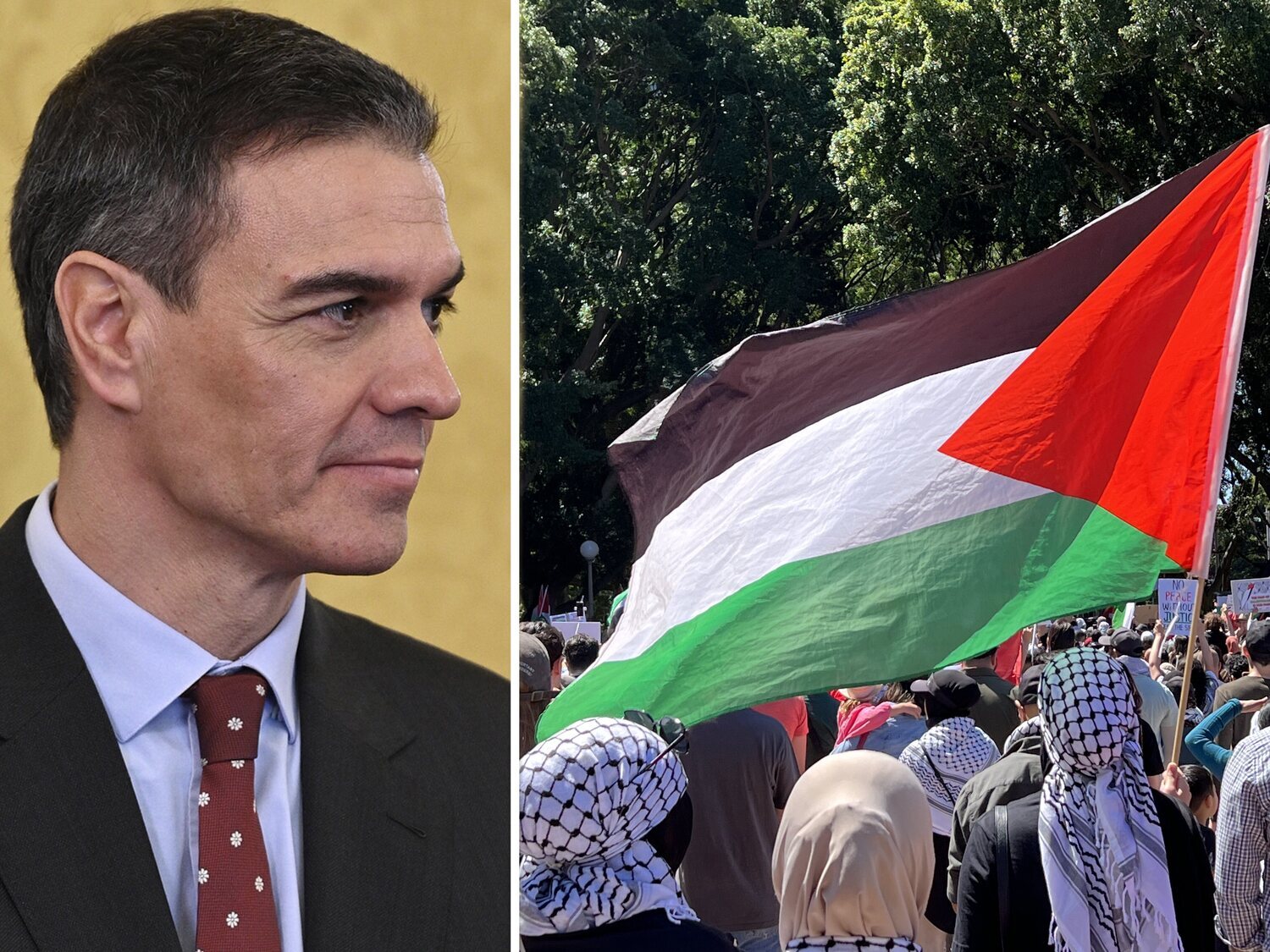 España prevé reconocer el Estado de Palestina el 21 de mayo: ¿Qué países de la UE ya lo hacen y quién se sumará?