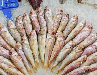 Alerta alimentaria en España: ordenan la retirada inmediata de este pescado con anisakis