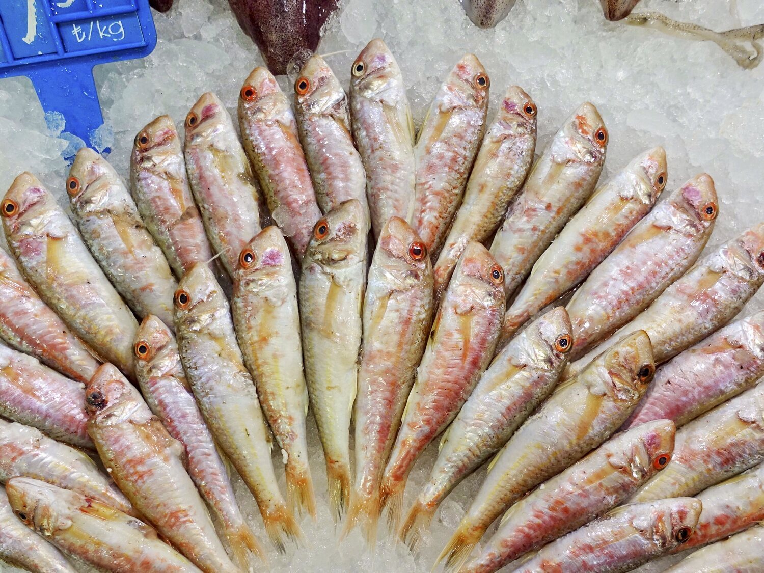 Alerta alimentaria en España: ordenan la retirada inmediata de este pescado con anisakis