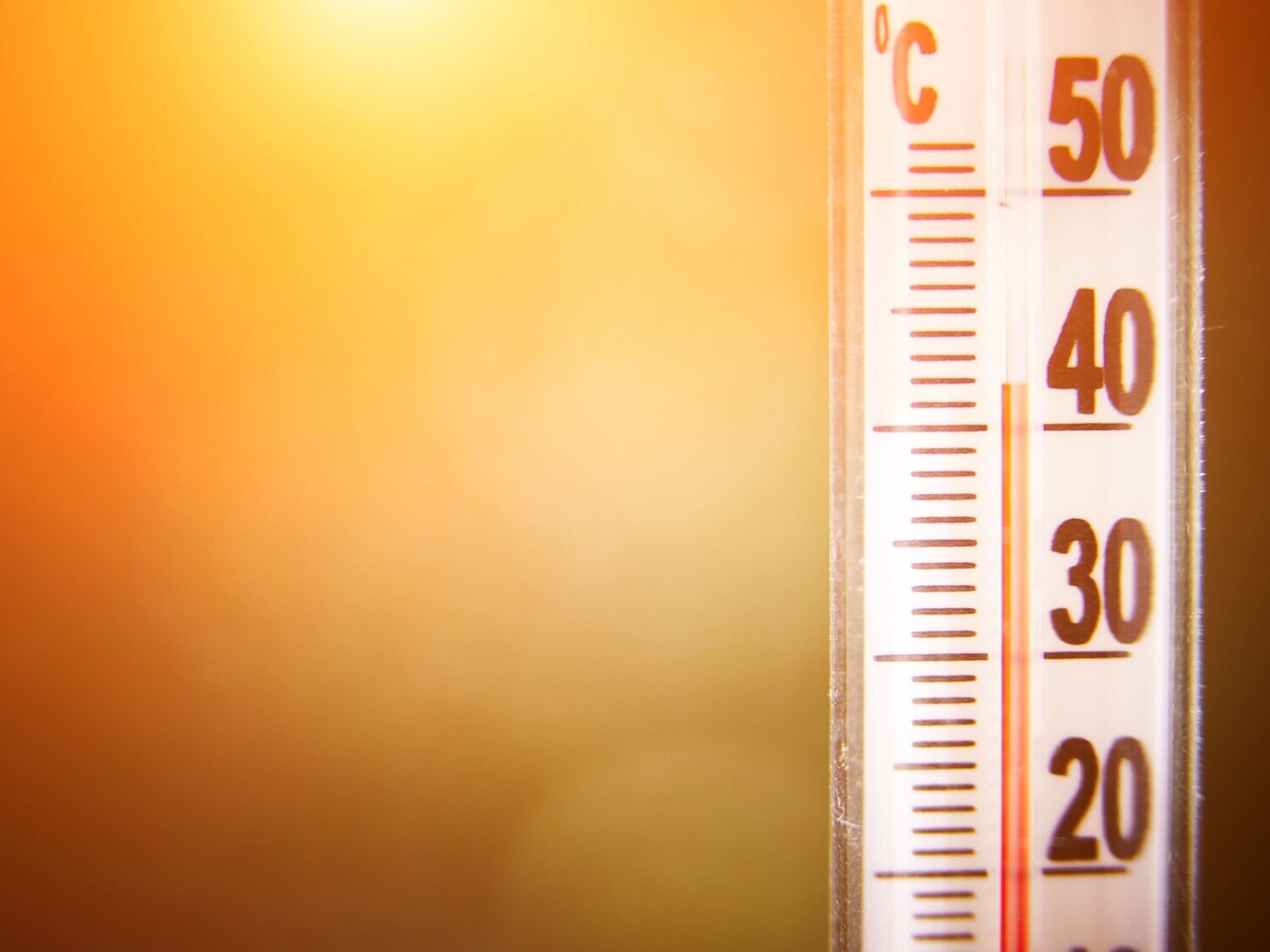 Cuándo va a empezar a hacer calor: la fecha que ha dado la AEMET