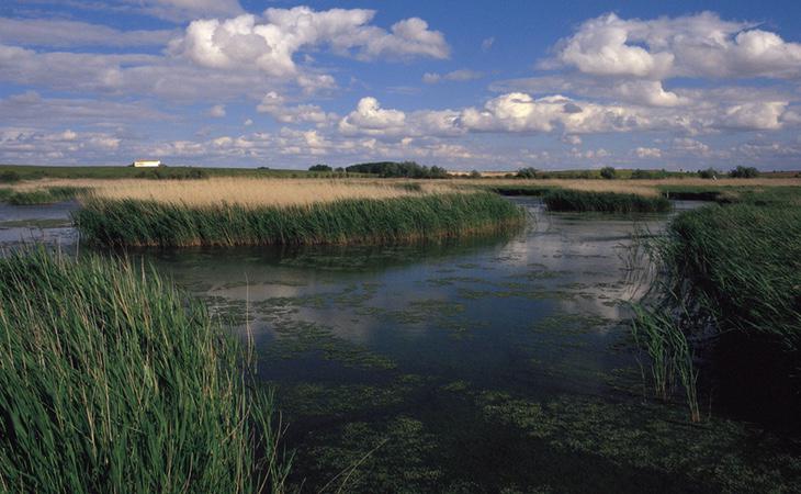 Algunos humedales como el de las Tablas de Daimiel, en Ciudad Real, podrían convertirse en un auténtico desierto