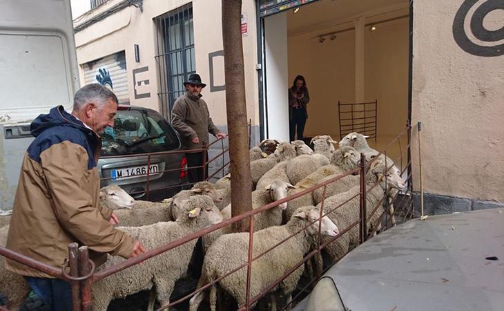 Tresaco asegura que el hacinamiento de los animales se debe a las recomendaciones de los ganaderos