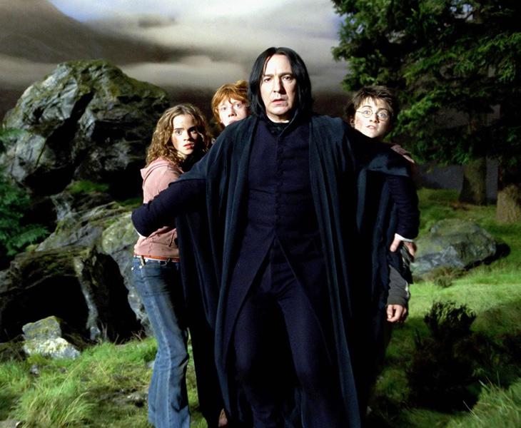 Snape se había postulado como uno de los enemigos de Harry, pero al final se descubre que estaba protegiéndolo desde las sombras